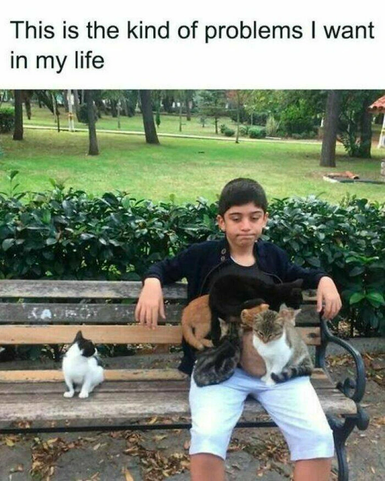 39 Funny Memes about Life That Hit Close to Home 37 Kind of problems I want