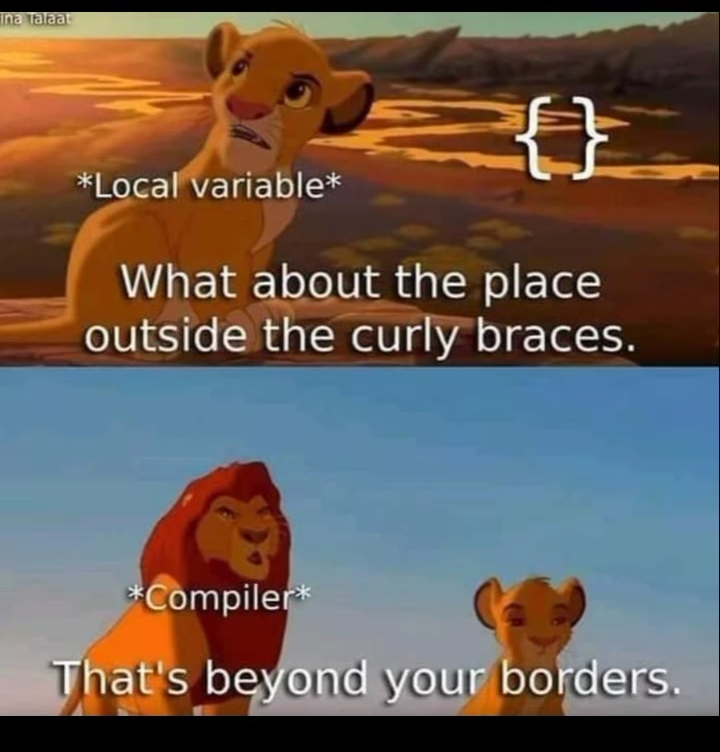 45 Programming Memes that Turn "Hello World" into "Haha World" 44 Local variable