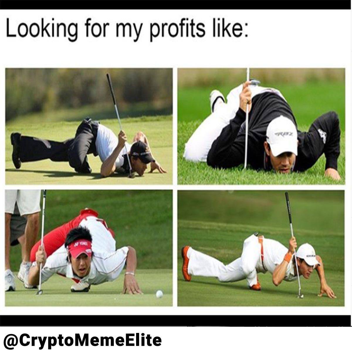 35 Dankest Crypto Memes Guaranteed To Mine Laughter 11 Looking for profits be like