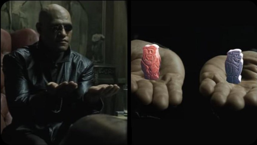 25 Horror Movie Memes That Prove Laughter Is the Best Exorcism 22 Matrix