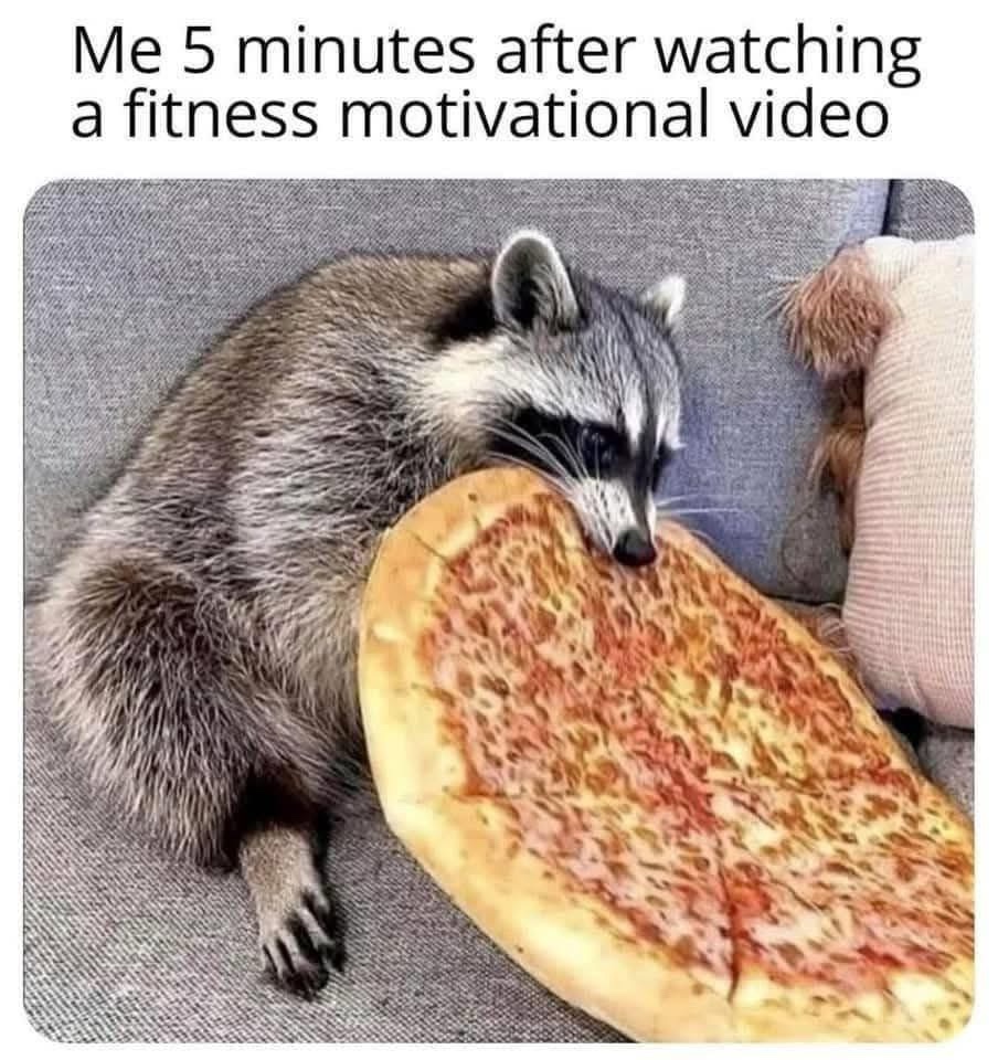 30 Memes to Make Your Day Slightly Less Sensible 29 Me after 5 minutes