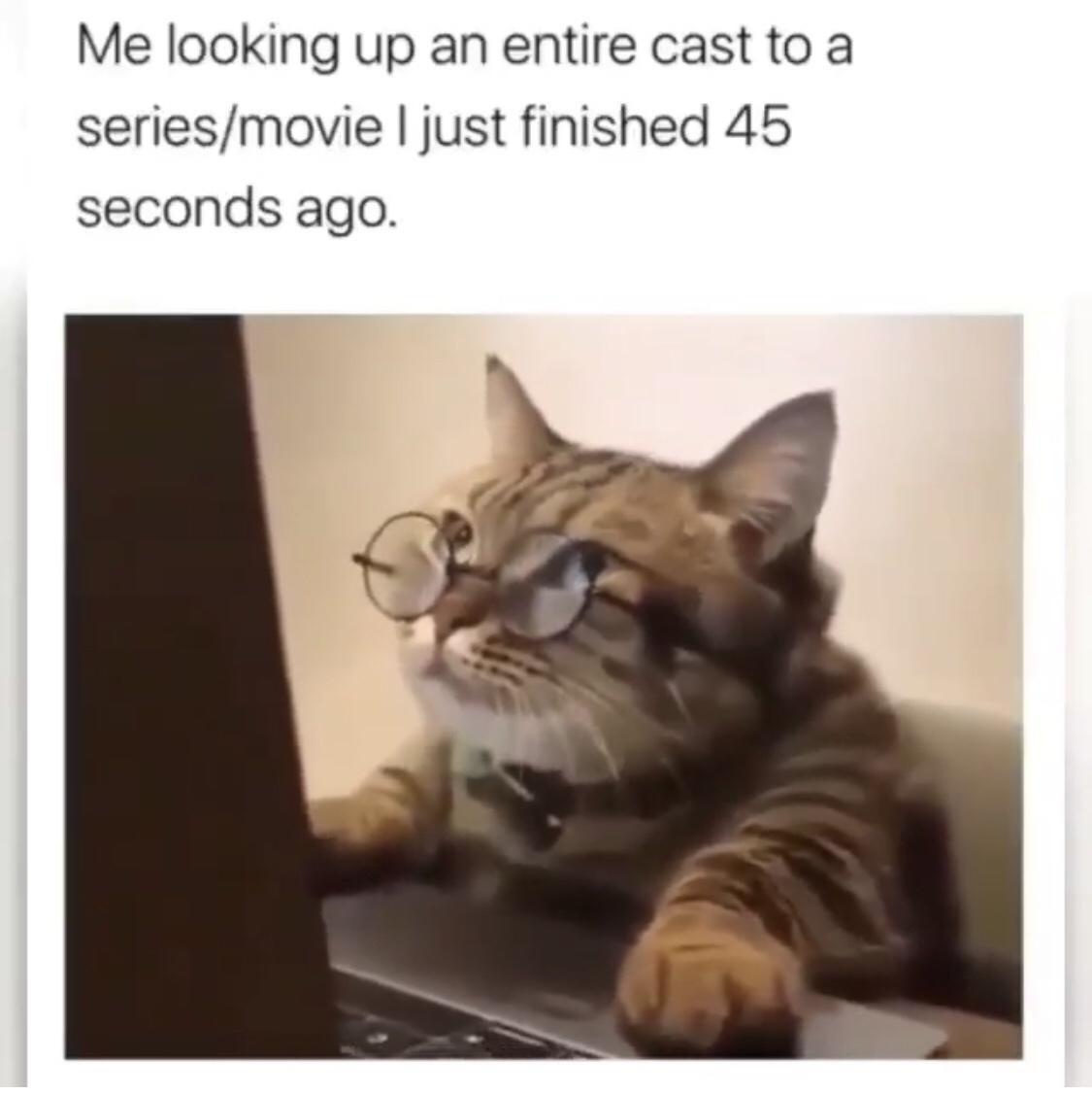 25 Memes That Will Hijack Your Attention (You’ve Been Warned) 9 Me looking p an entire cast