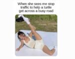Memes That Will Have You Laughing Harder Than a Kid on a Sugar Rush - FG.jpeg