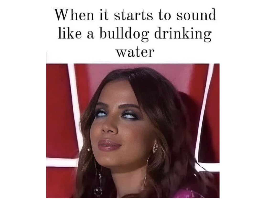 Memes for When You Need a Mental Break - FG.jpeg