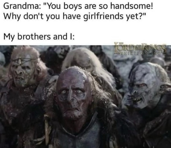 35 Lord of the Rings Memes That Will Make You Want to Watch the Trilogy Again 33 My brothers and I