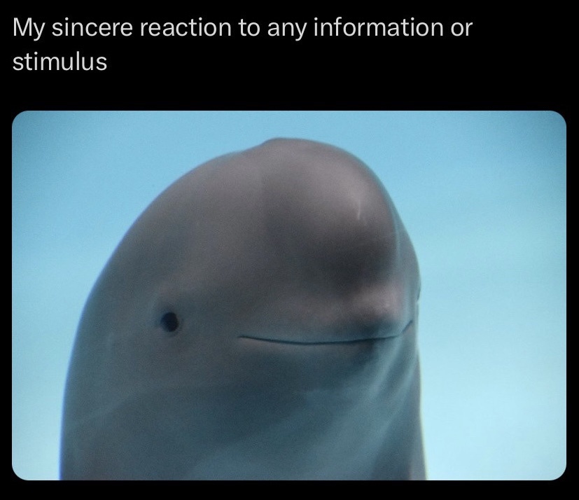 20 Sad Memes That Are a Bit of a Downer but Still a Blast 14 My reaction - Sad Memes