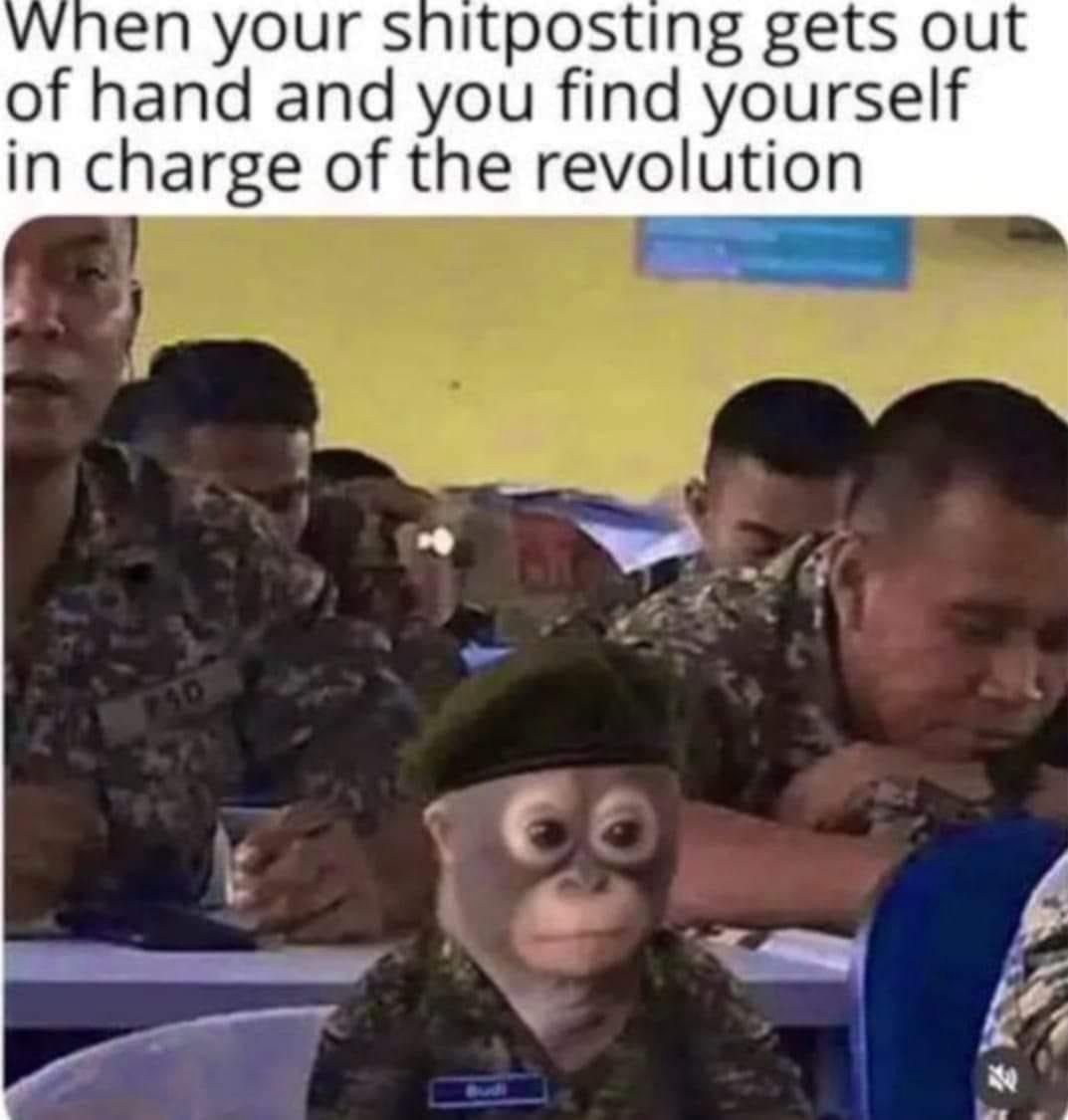 15 Memes That Will Leave You Laughing and Scratching Your Head 15 Shitposting gets out of hand