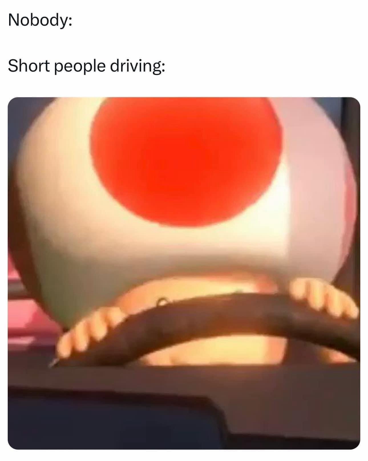 25 Hilarious Memes to Stumble Upon and Never Forget 17 Short people driving
