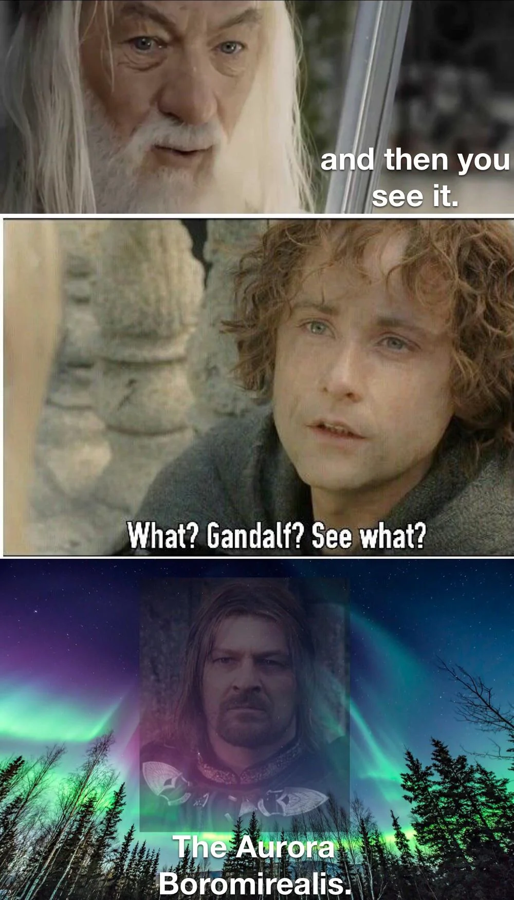 20 Geography Memes That Prove the World Is Flat… Out Hilarious! 19 Then you see it - Geography Memes