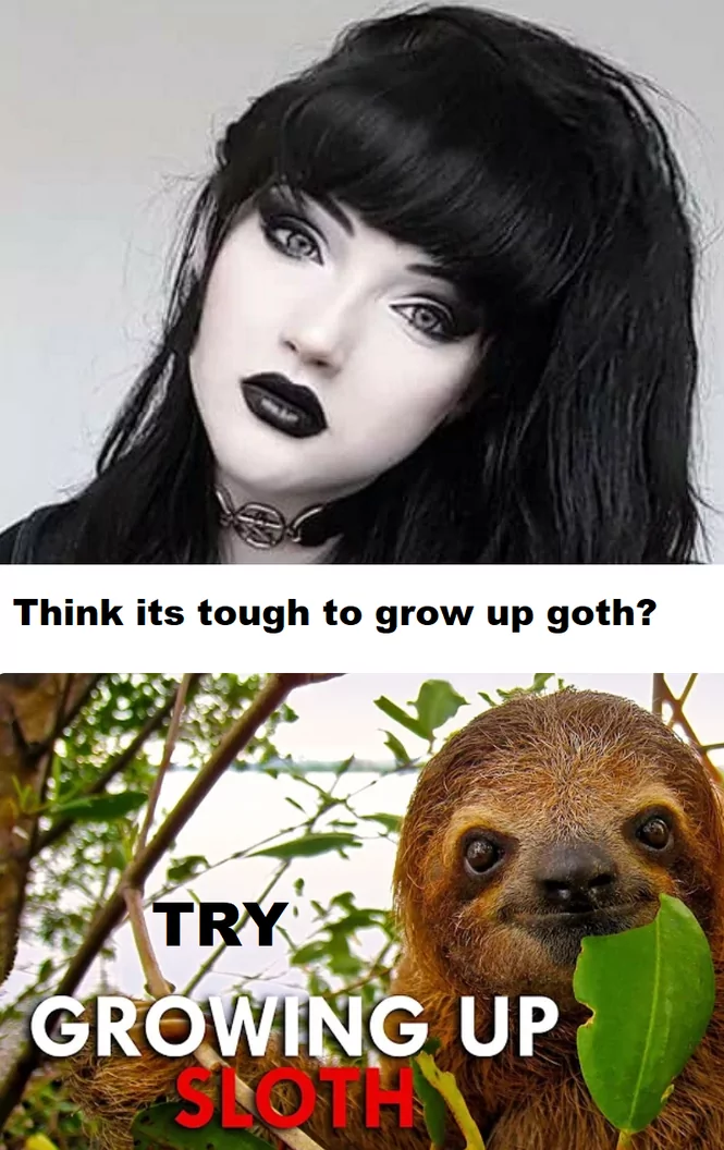 Try growing up sloth