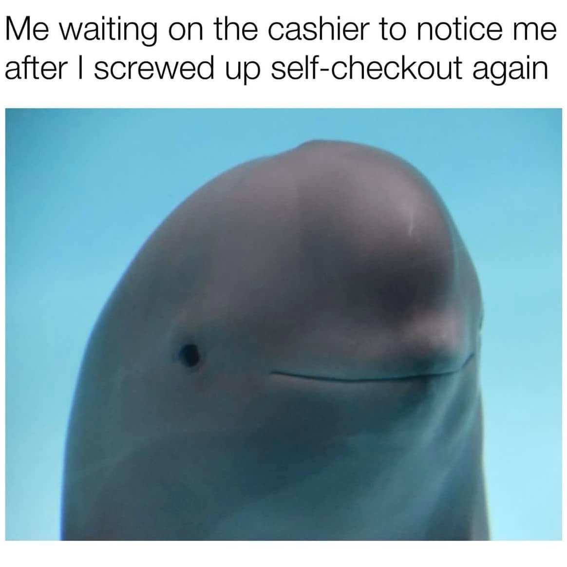 25 Hilarious Memes to Stumble Upon and Never Forget 20 Waiting on the cashier
