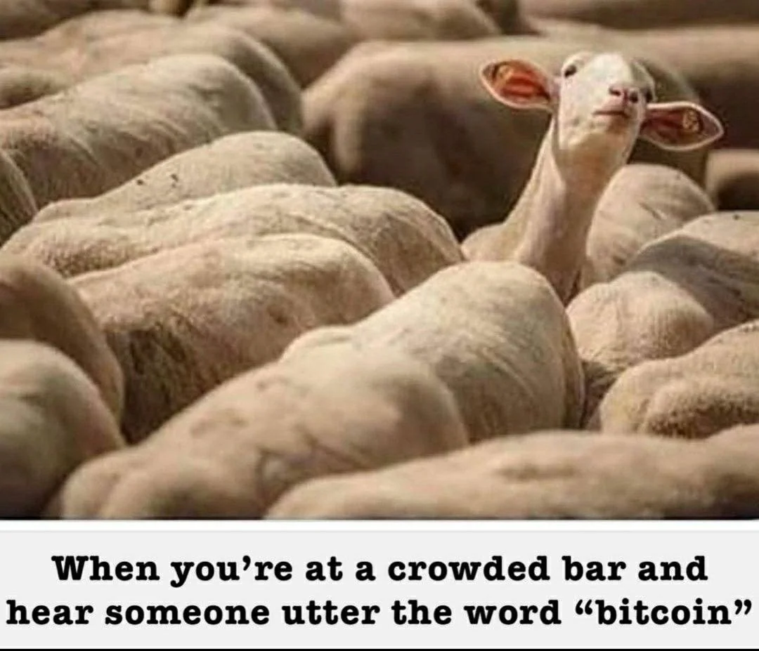 35 Dankest Crypto Memes Guaranteed To Mine Laughter 20 When someone utters the word bitcoin