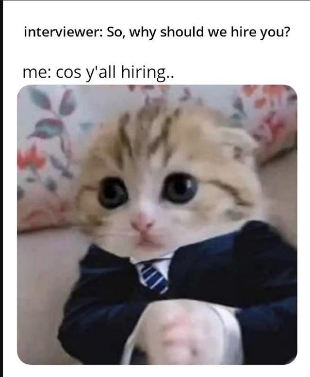 25 Memes That Will Hijack Your Attention (You’ve Been Warned) 17 Why should we hire you