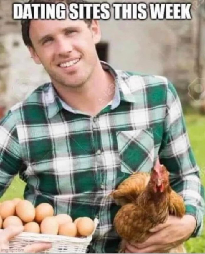 32 Egg Memes That Will Crack You Up! 5 Dating sites - egg memes