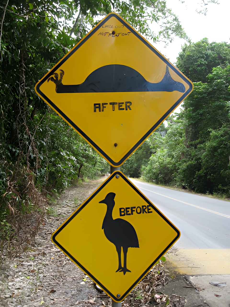 30 Unexpected Signs That Will Totally Throw You Off 5 before after - unexpected signs