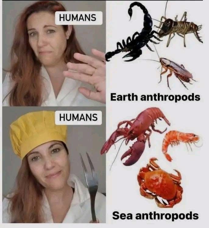 35 Brainy Memes That Will Blow Your Brains Out 32 earth anthrapods