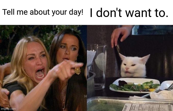 24 Classic Introvert Memes That Celebrate the Art of the Social Escape 21 ell me about your day