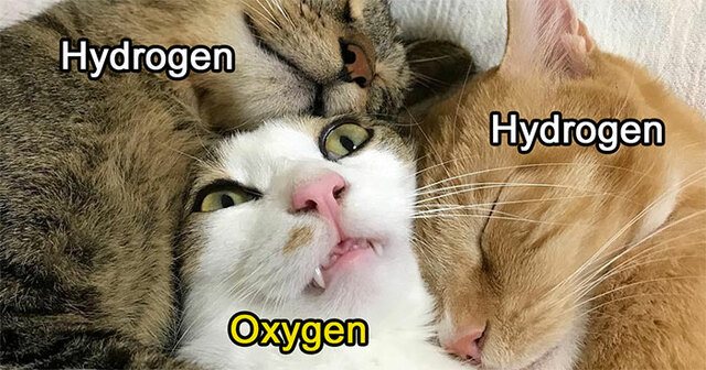 20 Science Humor Memes That Will Gravitate You Toward Laughter 4 h20 - Science Humor Memes