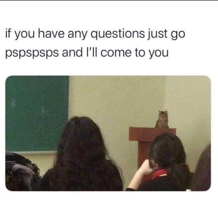 if you have any questions