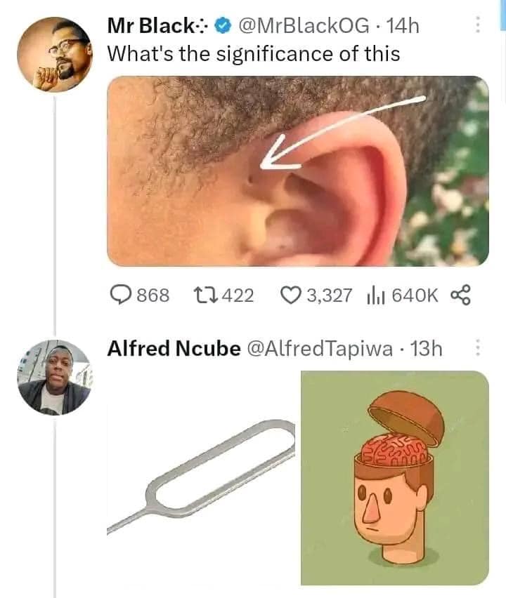 35 Brainy Memes That Will Blow Your Brains Out 9 ignificance of this