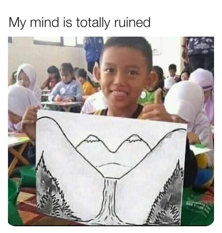 29 Inappropriate Memes That Cross the Line in the Name of Humor 28 mind is ruined