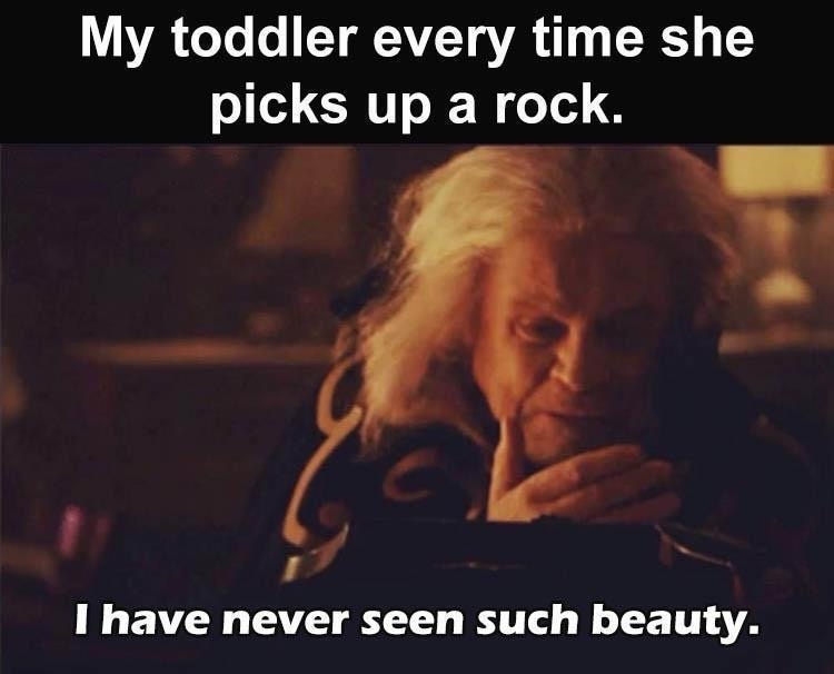 25 Memes That Might Just Save You from a Boring Day 21 my toddler
