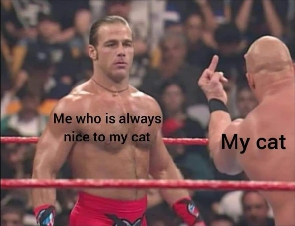 15 Memes That Might Just Be the Highlight of Your Day 13 nice to my cat