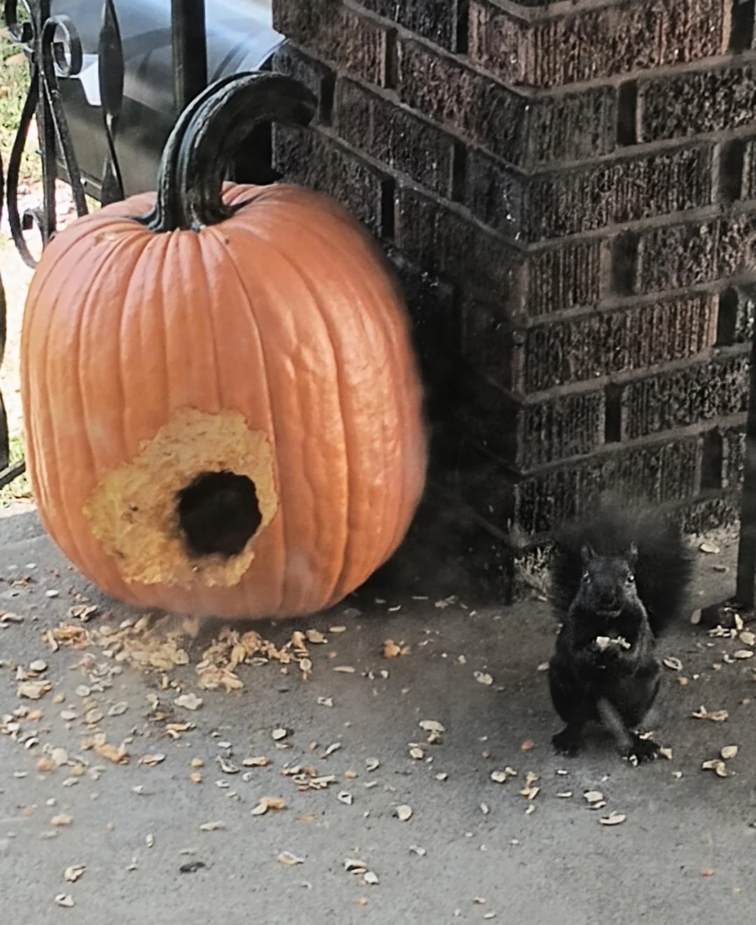25 'Funny Pumpkin Carvings' for the Comedy of the Gourds 26 omeone broke into my porch pumpkin