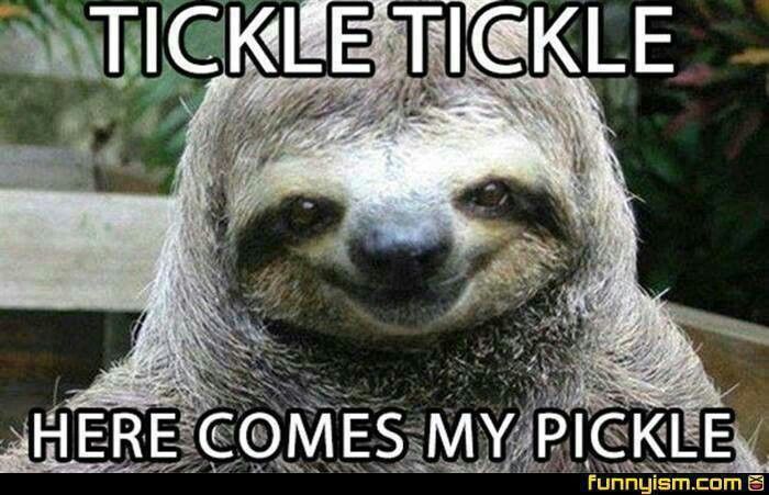 tickle tickle