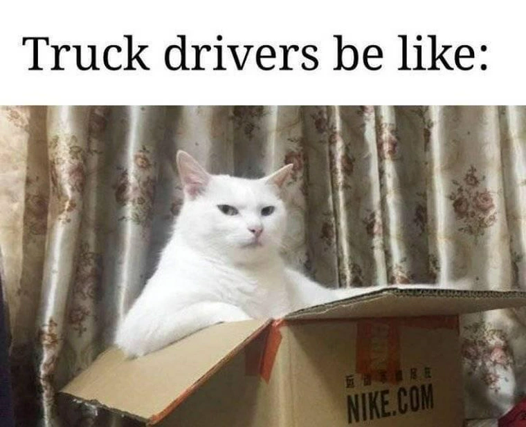 truck drivers be like