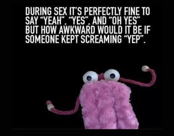 15 Memes That Are Basically the Definition of Random Humor - FG.jpeg