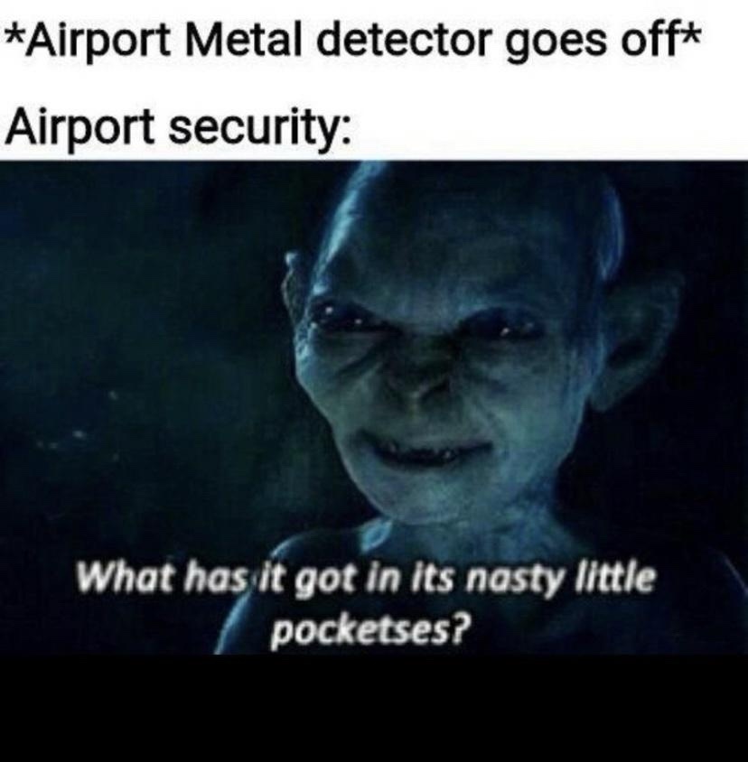 23 Memes to Scroll Through While Avoiding Responsibility 1 Airport metal detector