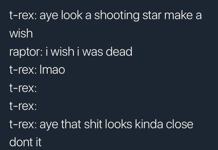 23 Memes to Scroll Through While Avoiding Responsibility 3 Aye look shooting star