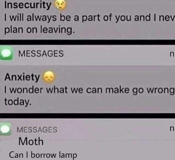 Can i Borrow lamp - moth memes