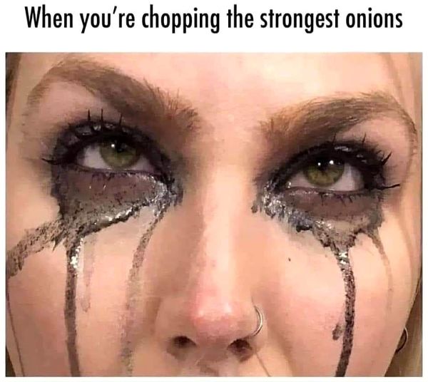27 Memes That Are as Wild as Your Search History 23 Chopping strongest onion