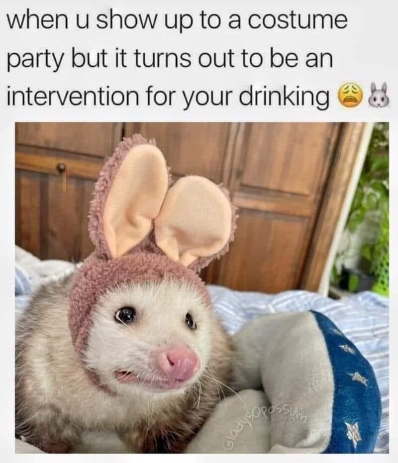 25 Animal Memes To Start Your Day Right 23 Costume party