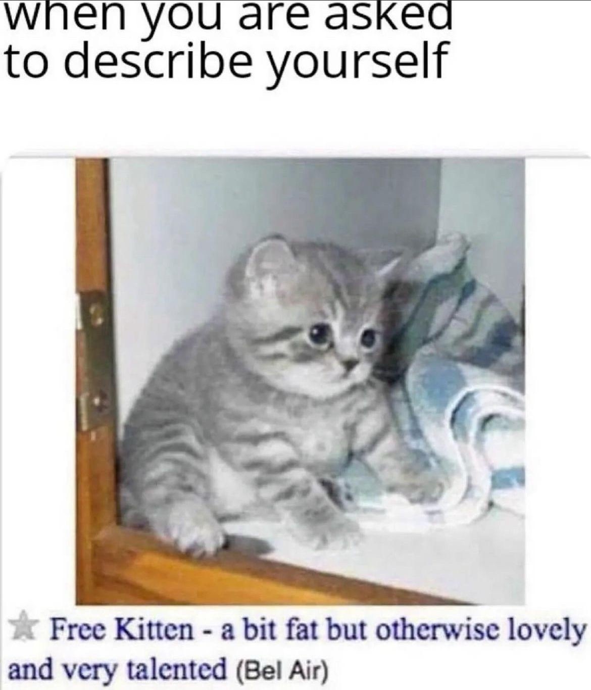 24 Memes That Shouldn’t Be This Funny (But Are) 2 Describe yourself