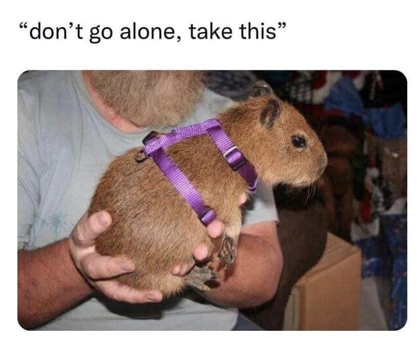 21 Memes to Make the Most of Your Extra Hour from Daylight Savings! 6 Dont go alone