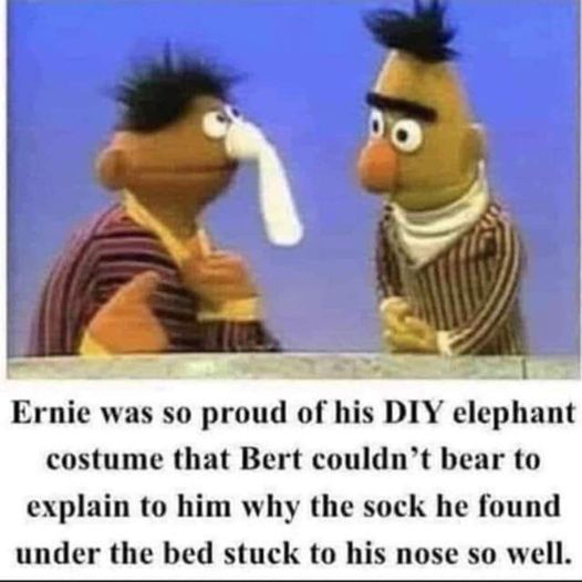 20 Memes That Deserve a Little Censorship 4 Ernie was so proud