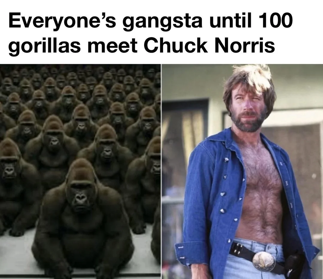 40 Chuck Norris Memes That Will Make You Say "What The Chuck!" 37 Everyones a gangsta