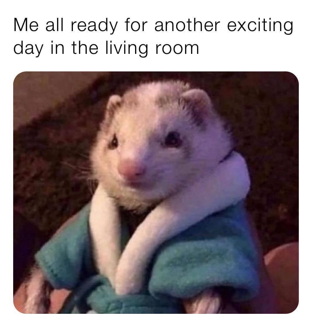 30 Memes That Are All Fun and Games Until You Relate to Them 27 Exciting day in living room