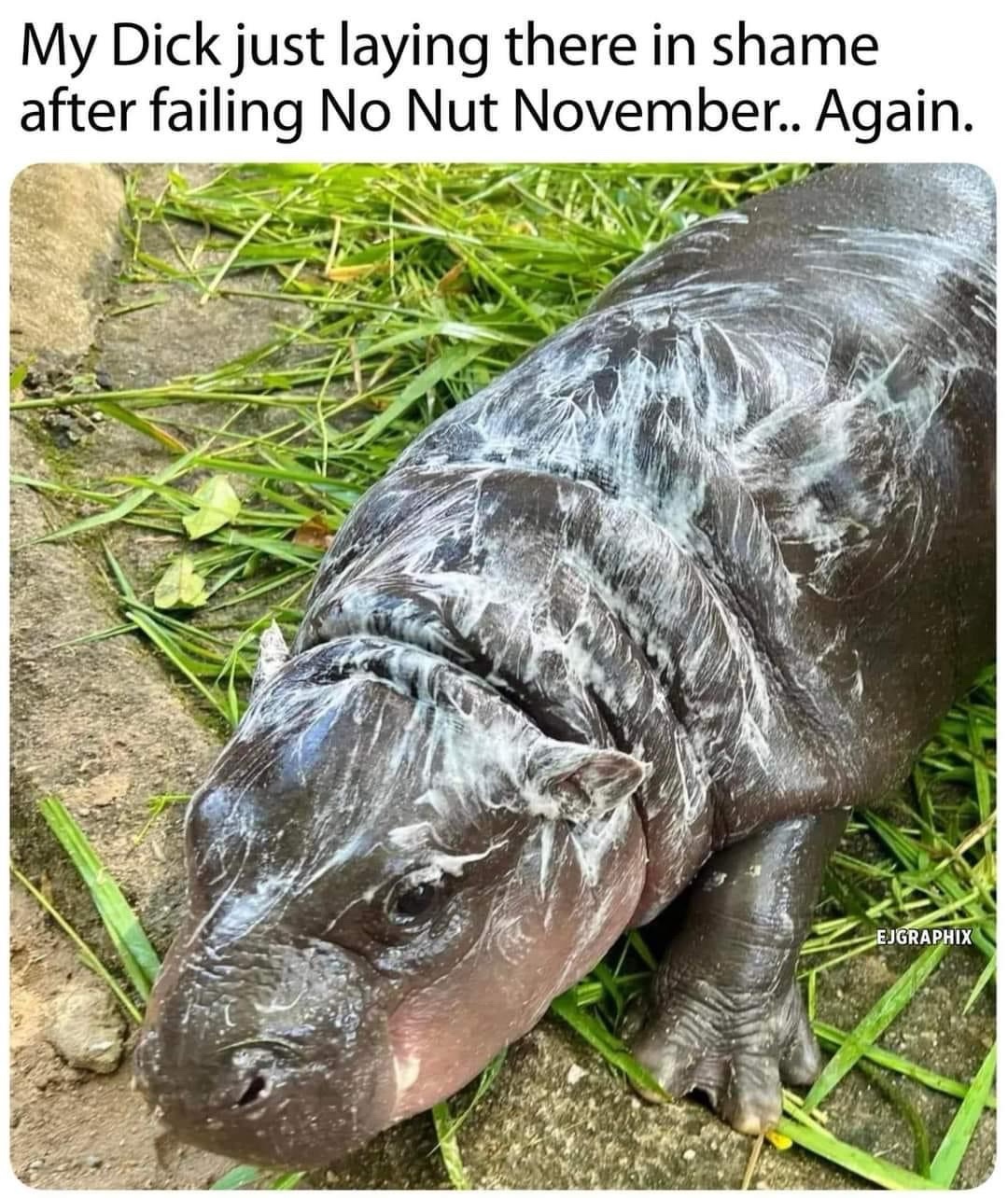 22 Memes to Distract You From Doing Anything Productive 4 Failing nnn