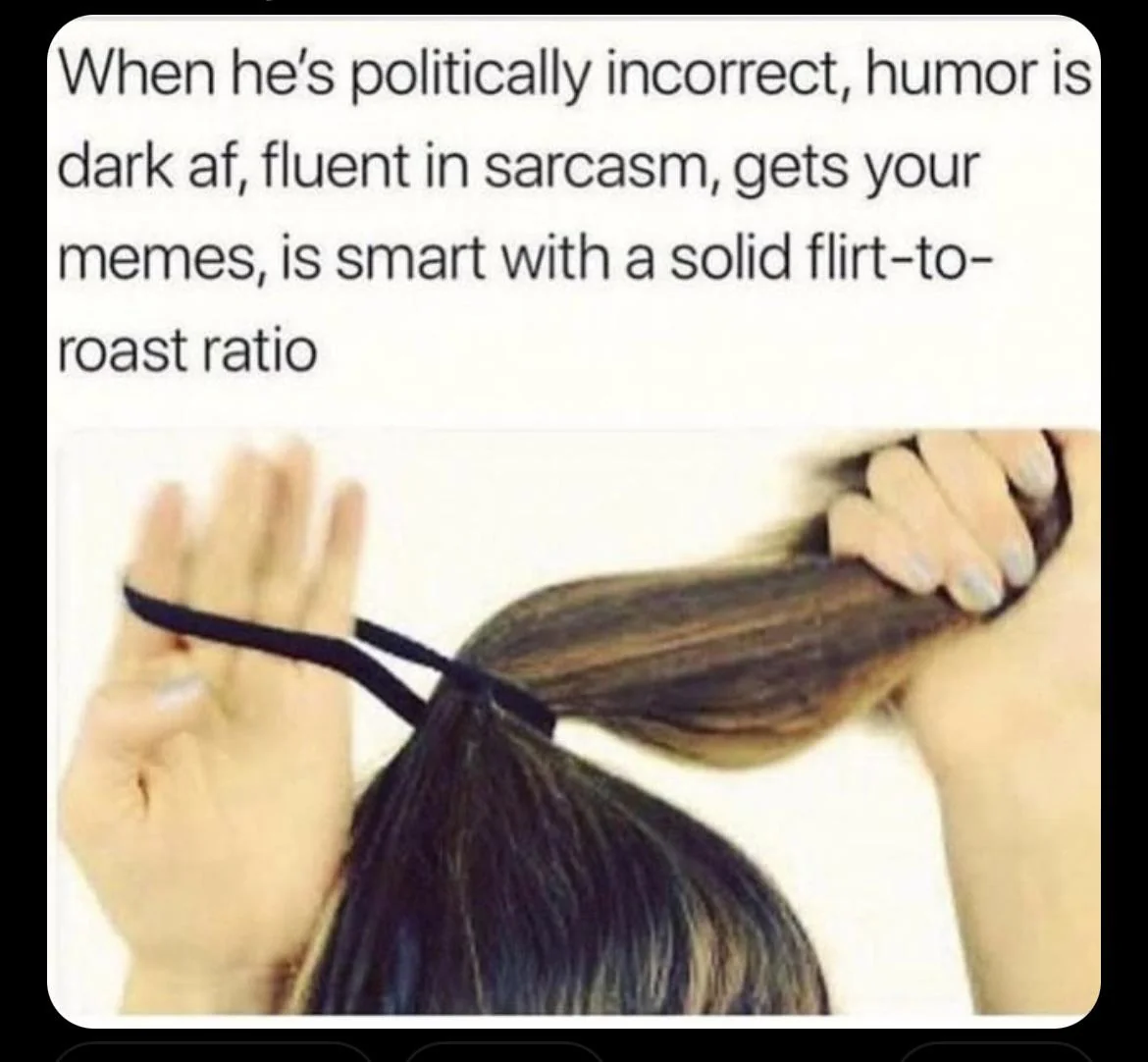 40 Funny Flirting Memes That Summarizes The Art Of Bad Flirting 38 Flirt to roast ration