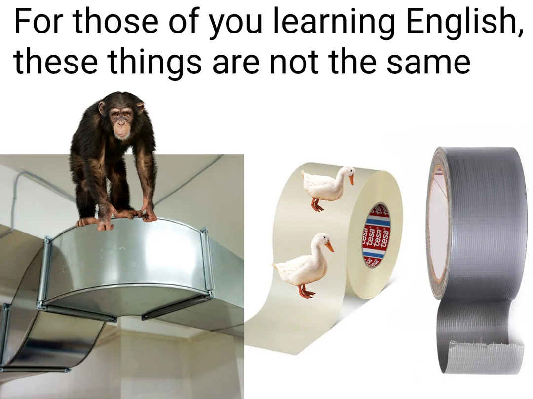 30 Funny Duct Tape Memes That Will Almost Fix Anything 31 For thos learning english