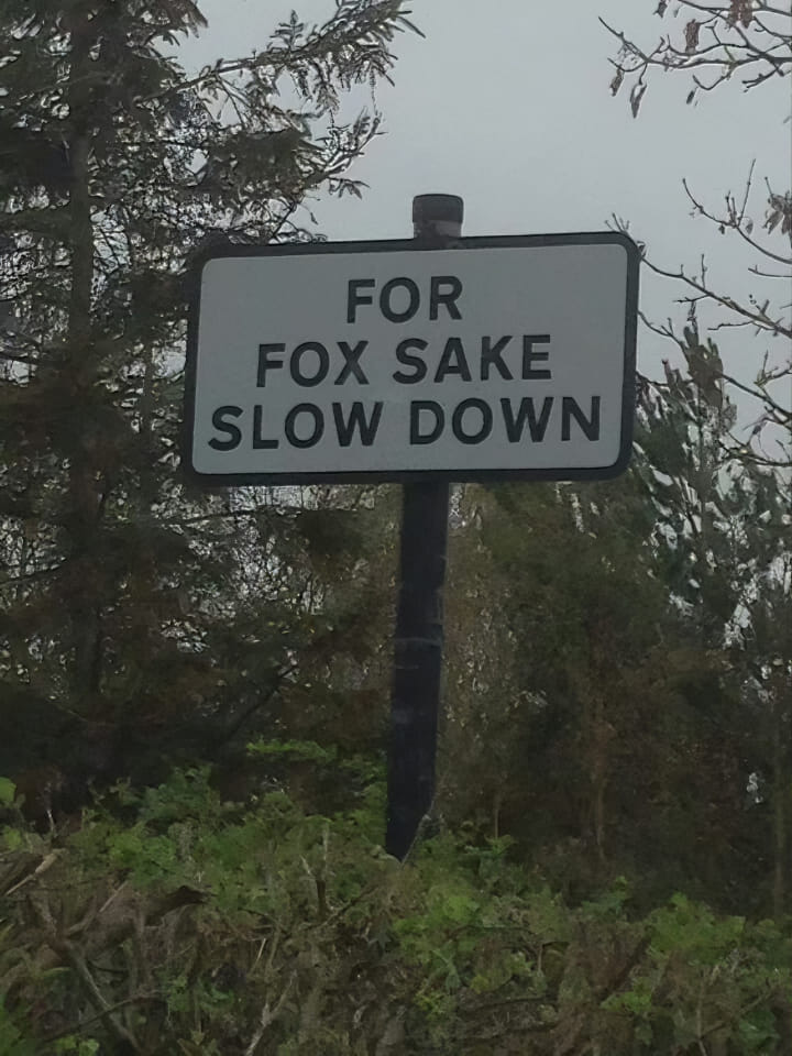 30 Side-Splitting Memes With a Dash of British Wit 2 Fox Sake