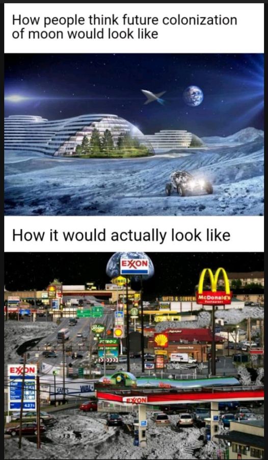20 Memes That Deserve a Little Censorship 6 Future colonisation