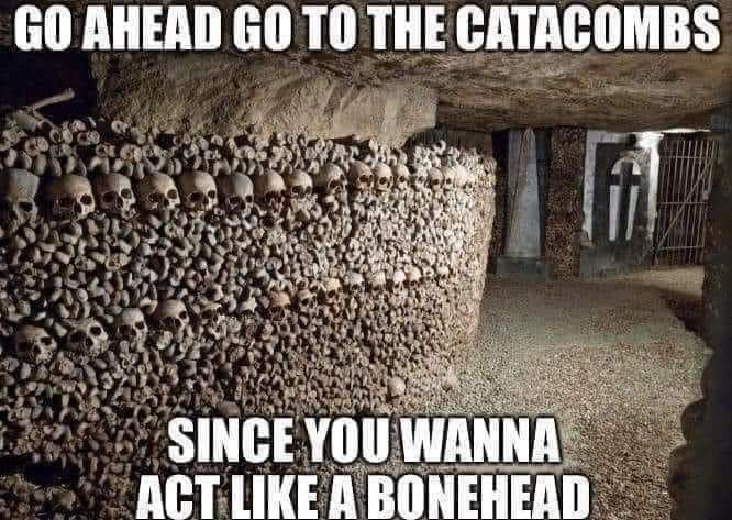 17 Memes for When Life Makes Zero Sense (But the Internet Does) 4 Go ahead