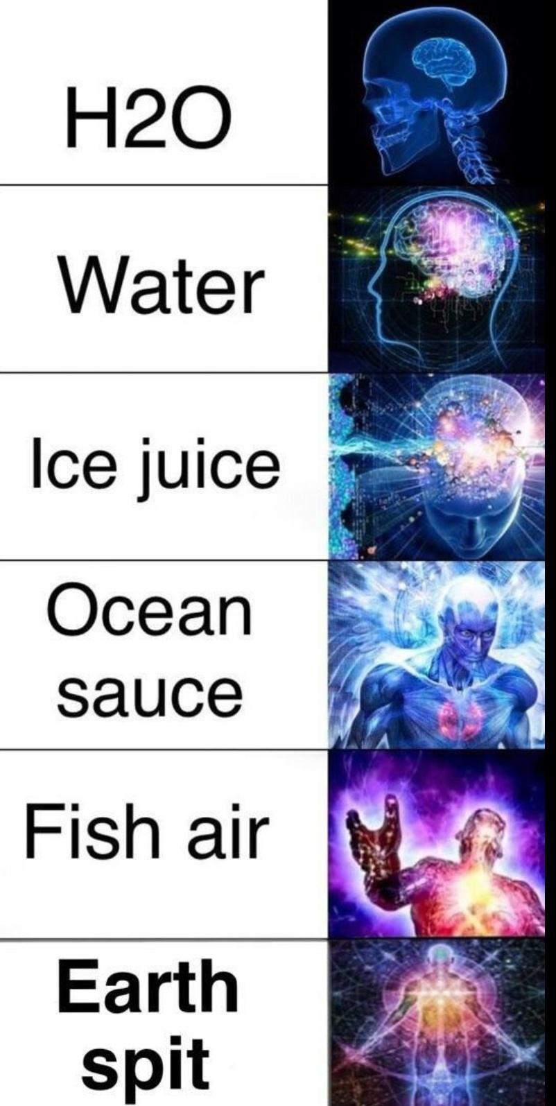 15 Memes That Are Basically the Definition of Random Humor 6 H20