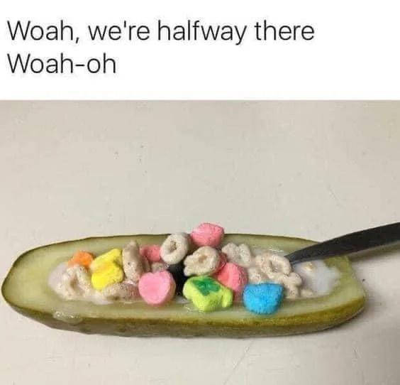 33 Absurdist Humor That Capture the Madness of Life 30 Half way there
