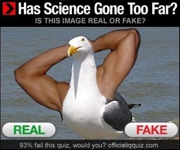 23 Memes That Are Definitely Worth Procrastinating For 8 Has science gone too far